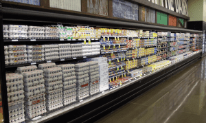 commercial refrigeration services